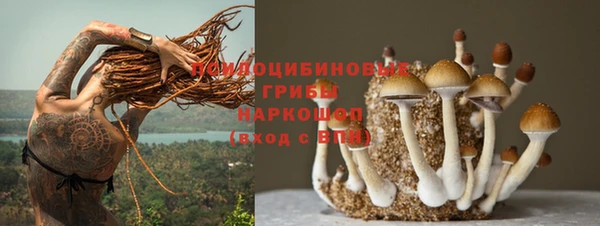 марки nbome Ладушкин