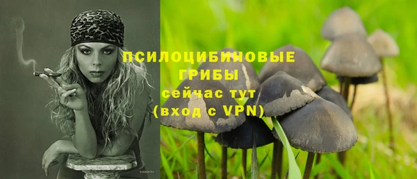 амф Гусиноозёрск