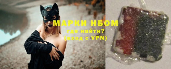 амф Гусь-Хрустальный