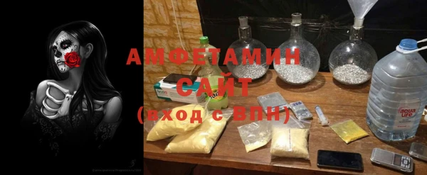 амф Гусиноозёрск