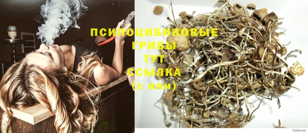 PSILOCYBIN Верхний Тагил