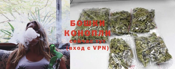 амф Гусиноозёрск