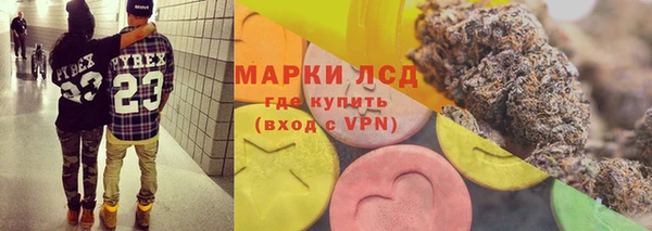 амф Гусь-Хрустальный
