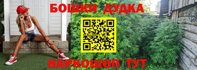 гашик Берёзовский