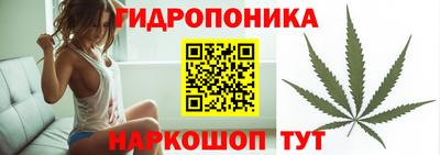 гашик Берёзовский