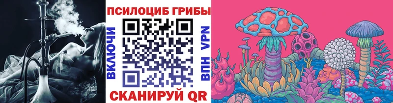 Псилоцибиновые грибы MAGIC MUSHROOMS  наркотики  Железноводск 