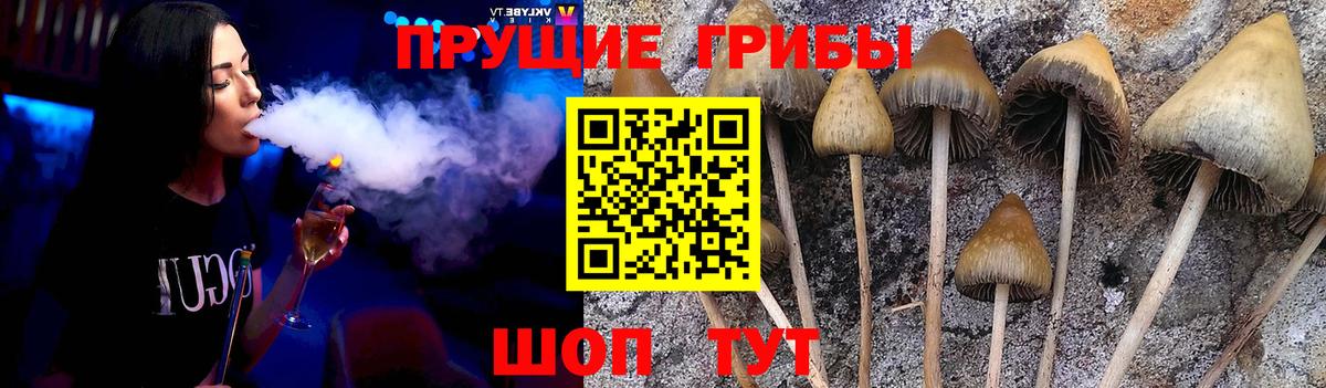 Псилоцибиновые грибы прущие грибы Железноводск